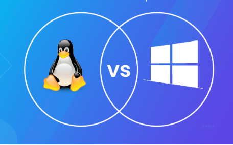 645357afc97b9.png 如何在Linux和Windows上優(yōu)化VPS性能?.png