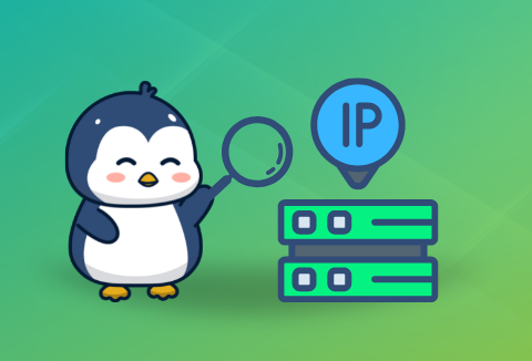 6528f04f43862.png ubuntu ip怎么配置?.png