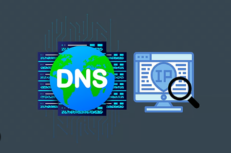 6618d8081c637.png dns地址和ip地址有什么區(qū)別?.png